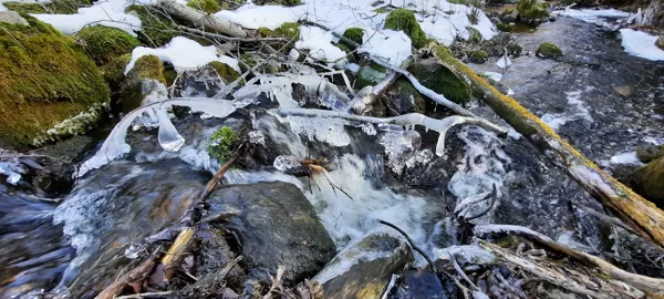 Geomorfologinio draustinio vakaruose teka upelis vardu Juodas Upis